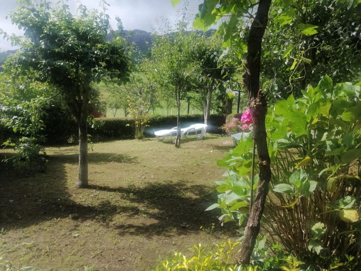 Apartamentos Casa Rural La Quintana Inguanzo Arenas De Cabrales Bagian luar foto